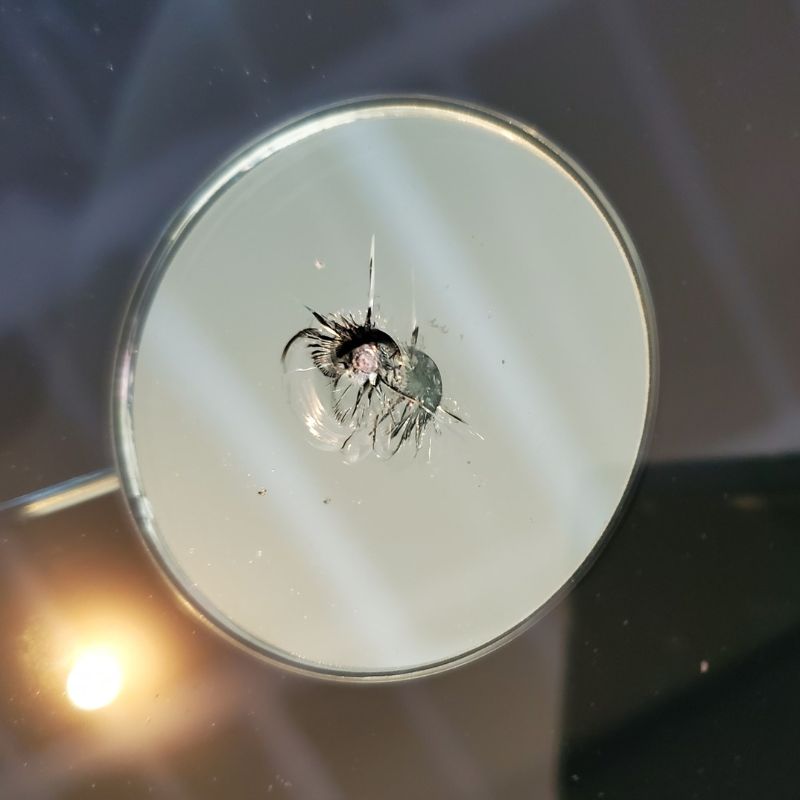 Parabrisas dañado antes de reparación